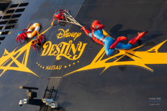 Disney_Destiny_Spiderman-1546