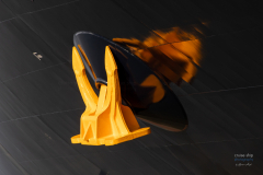 Disney_Destiny_Meyer_Werft-1500