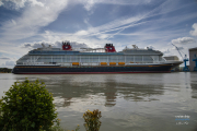 Disney_Treasure-1384
