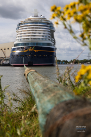 Disney_Treasure-1437