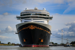 Disney_Treasure-1321