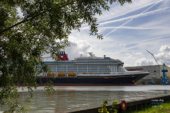 Disney_Treasure-1377