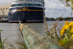 Disney_Treasure-1437