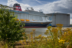 Disney_Treasure-1487