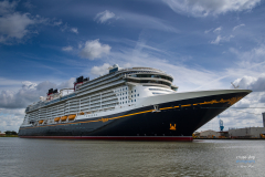 Disney_Treasure-1514-2