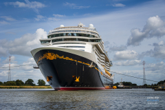 Disney_Treasure-1548