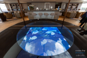 World-Explorer-Observation-Lounge